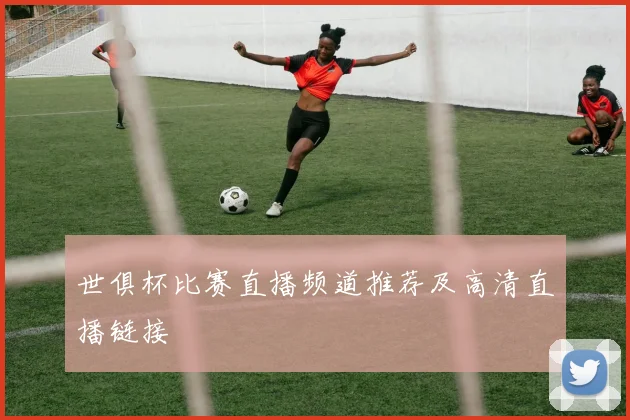 世俱杯比赛直播频道推荐及高清直播链接