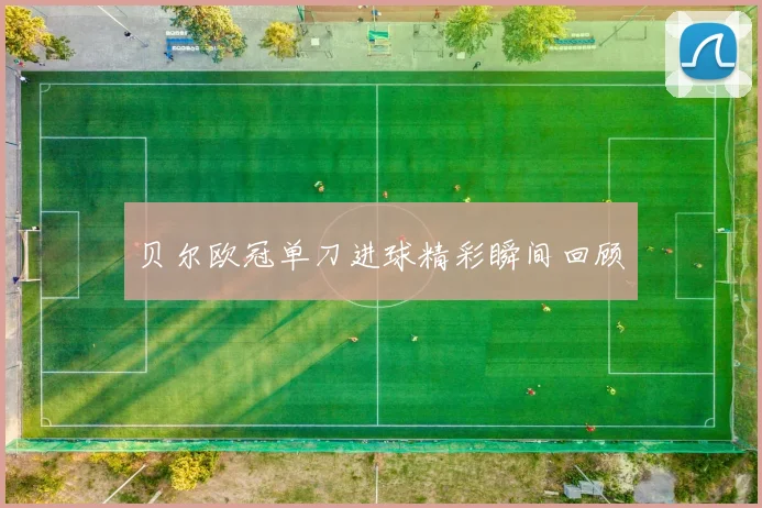 贝尔欧冠单刀进球精彩瞬间回顾