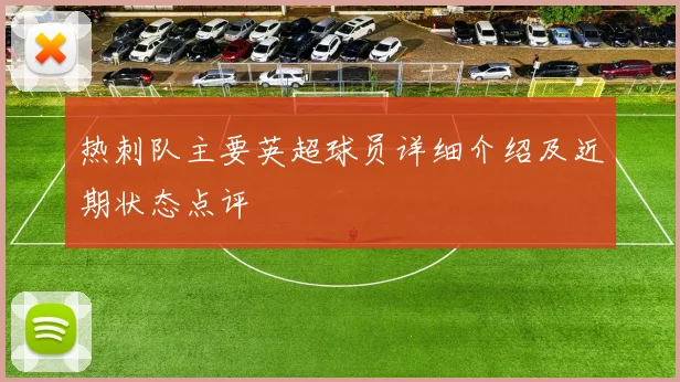 热刺队主要英超球员详细介绍及近期状态点评