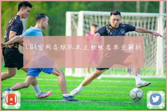 CBA官网各球队及主教练名单全解析