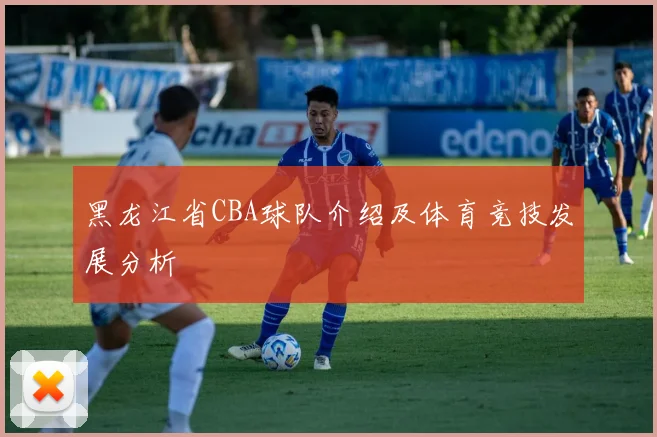 黑龙江省CBA球队介绍及体育竞技发展分析