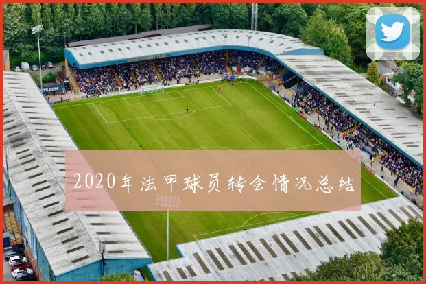 2020年法甲球员转会情况总结