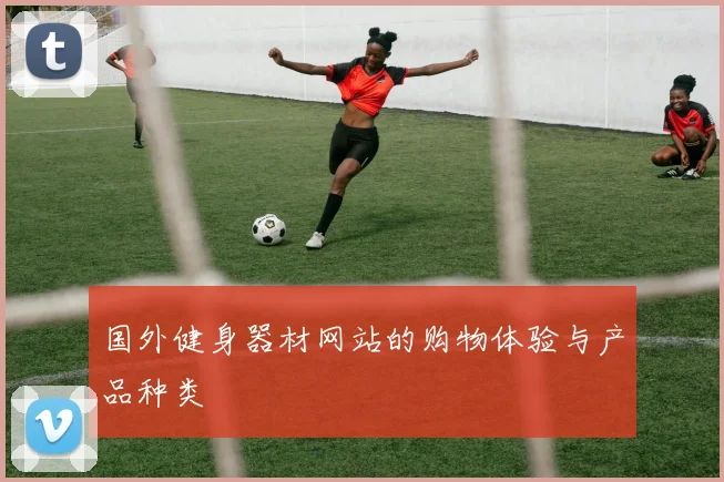 国外健身器材网站的购物体验与产品种类