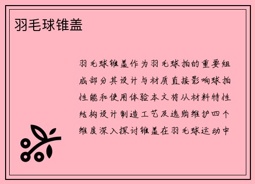 羽毛球锥盖